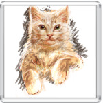 Кот в карандашах