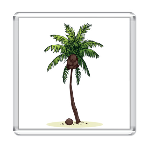 Магнит Кокосовая пальма