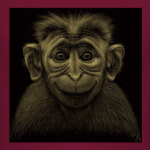Monkey's business