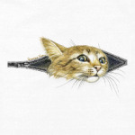 Внутренний Кот