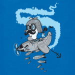 Crazy pilot