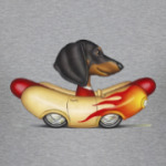 Wiener Car