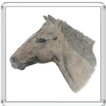   'Лошадь'