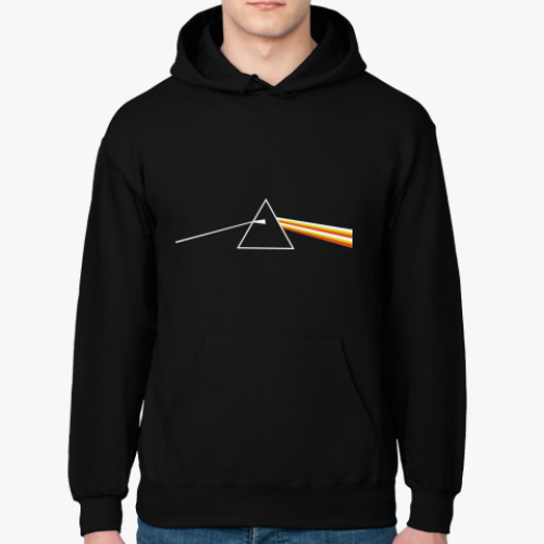 Толстовка худи Pink Floyd