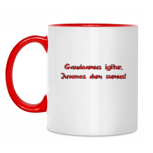 Кружка Итак, будем веселиться, Пока мы молоды!