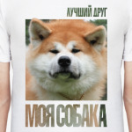 Акита ину