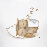  «Спящая сова»