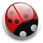  Ladybird