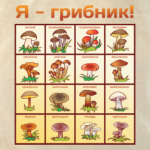 Я-грибник!