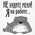 Не будите меня! Я на работе...