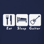 Eat Sleep Guitar