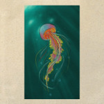 Радужная медуза