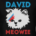 David Bowie cat