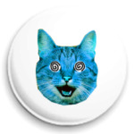  «Blue cat»