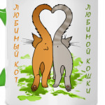 Любимый кот