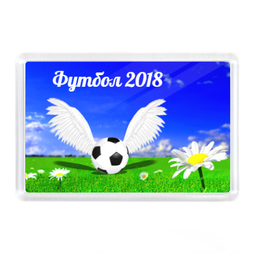 Магнит Летний футбол 2018