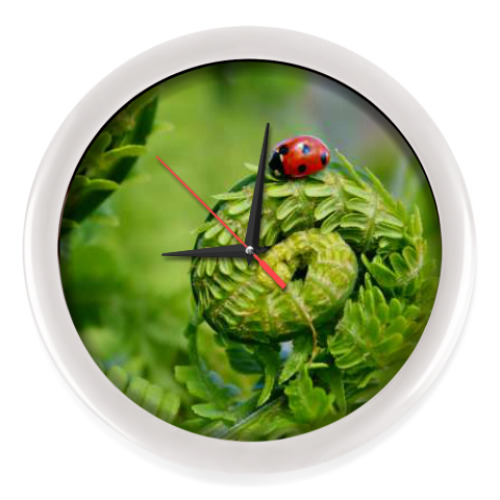 Настенные часы Ladybug