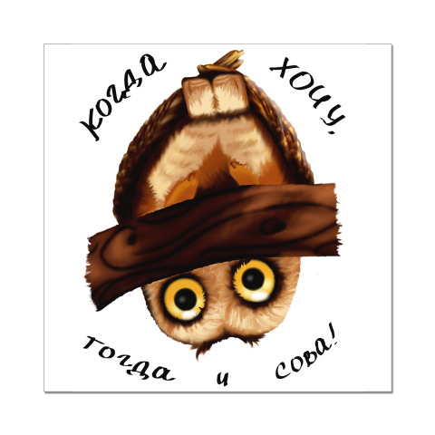 Naklejka Stiker Smeshnaya Sova Kupit Na Printdirect Ru 8402138 23