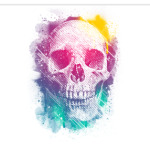 SpaceSkull
