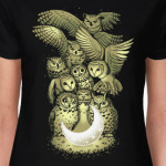 Owls are not what they seem