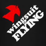 wingsuit skydiving прыжки парашют скайдайвинг