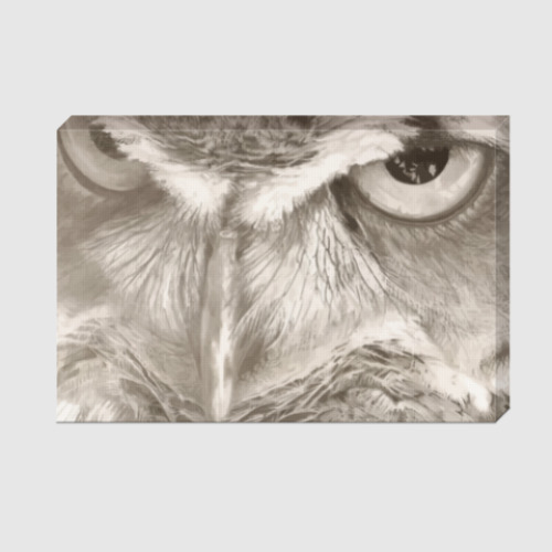 Холст Совы. Совушки. Owl. Owls.