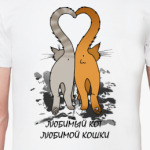 Коты