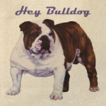  Hey Bulldog