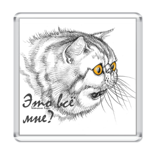Магнит Офигевший кот