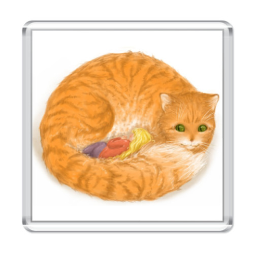 Магнит Рыжий котик