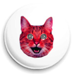  «Red cat»