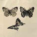 'Три бабочки'