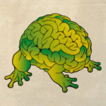 Мозговая жаба