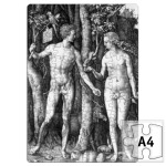 Адам и Ева Дюрера