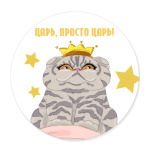 кот царь Вася