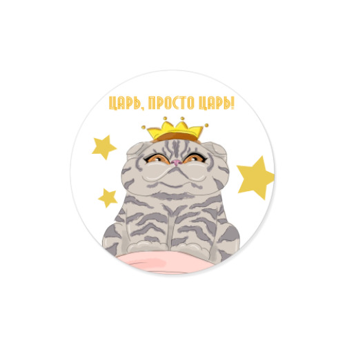 Виниловые наклейки кот царь Вася