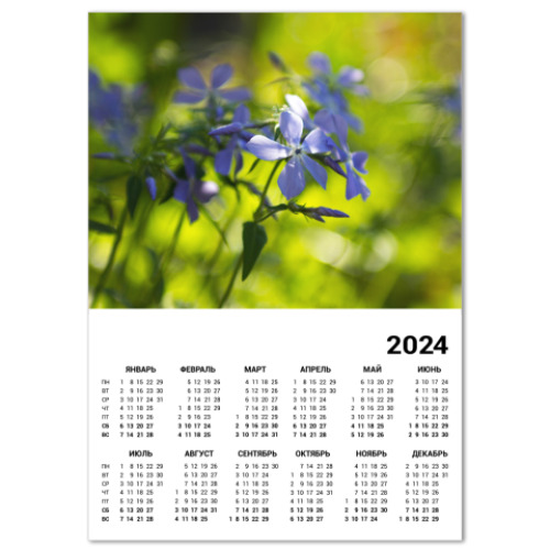 Календарь садовая фиалка