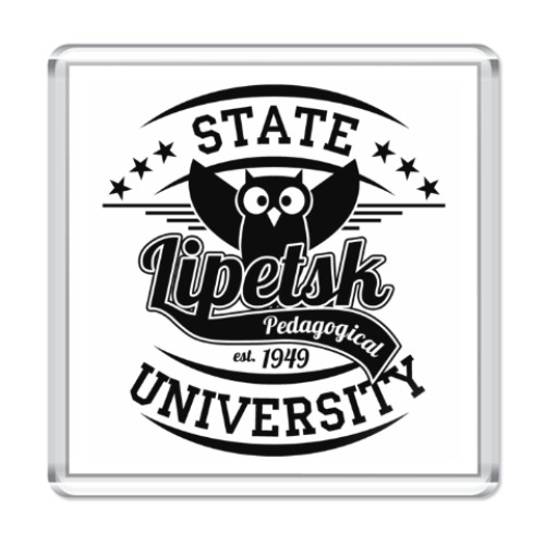 Магнит LSPU Owl