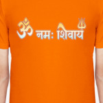 Om namah Shivaya (деванагари)