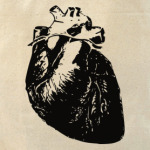 'Anatomy'