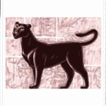 Черная пантера - дикая кошка