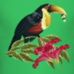 Тропическая птица