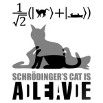 Котэ Шрёдингера