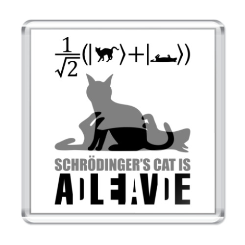 Магнит Котэ Шрёдингера