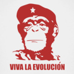  'Evolucion'