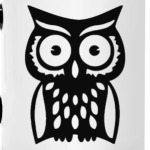 Совы. Совушки. Owl. Owls.
