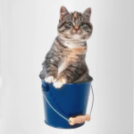 ''Cat in the Bucket''