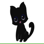 Kitten