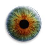 eye