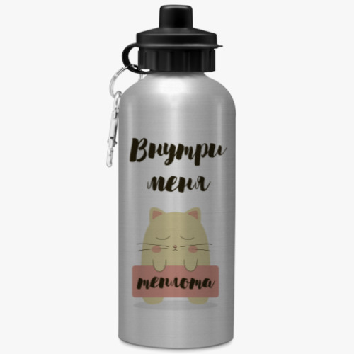 Бутылка с карабином (500 мл) Тёплый кот